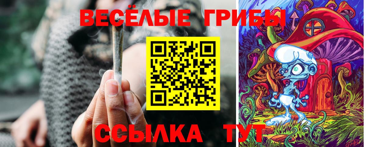 Псилоцибиновые грибы мицелий Шелехов